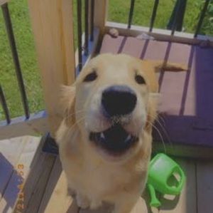 Meet your Posher, Blair